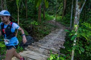 BIB: 
                            <button type="button" onclick="openModal(21892870)" class="btn btn-primary btn-sm float-right btn-popup" data-toggle="modal" data-target=".modal-high-quality">
                        <i class="fas fa-shopping-cart"></i> Add to Cart
                    </button>
                                            <button type="button" onclick="isThisMe(21892870, true)" class="btn btn-success btn-sm float-right btn-popup btn-isme hidden" data-toggle="tooltip" data-placement="bottom" title="นี่คือรูปของคุณใช่ไหม คลิกที่นี่เพื่อเอาเข้าอัลบั้ม">
                        <i class="fas fa-plus"></i> Add to album
                    </button>
                    <button type="button" onclick="isThisMe(21892870, false)" class="btn btn-warning btn-sm float-right btn-popup btn-isnotme hidden">
                        <i class="fas fa-ban"></i> Remove from album
                    </button>